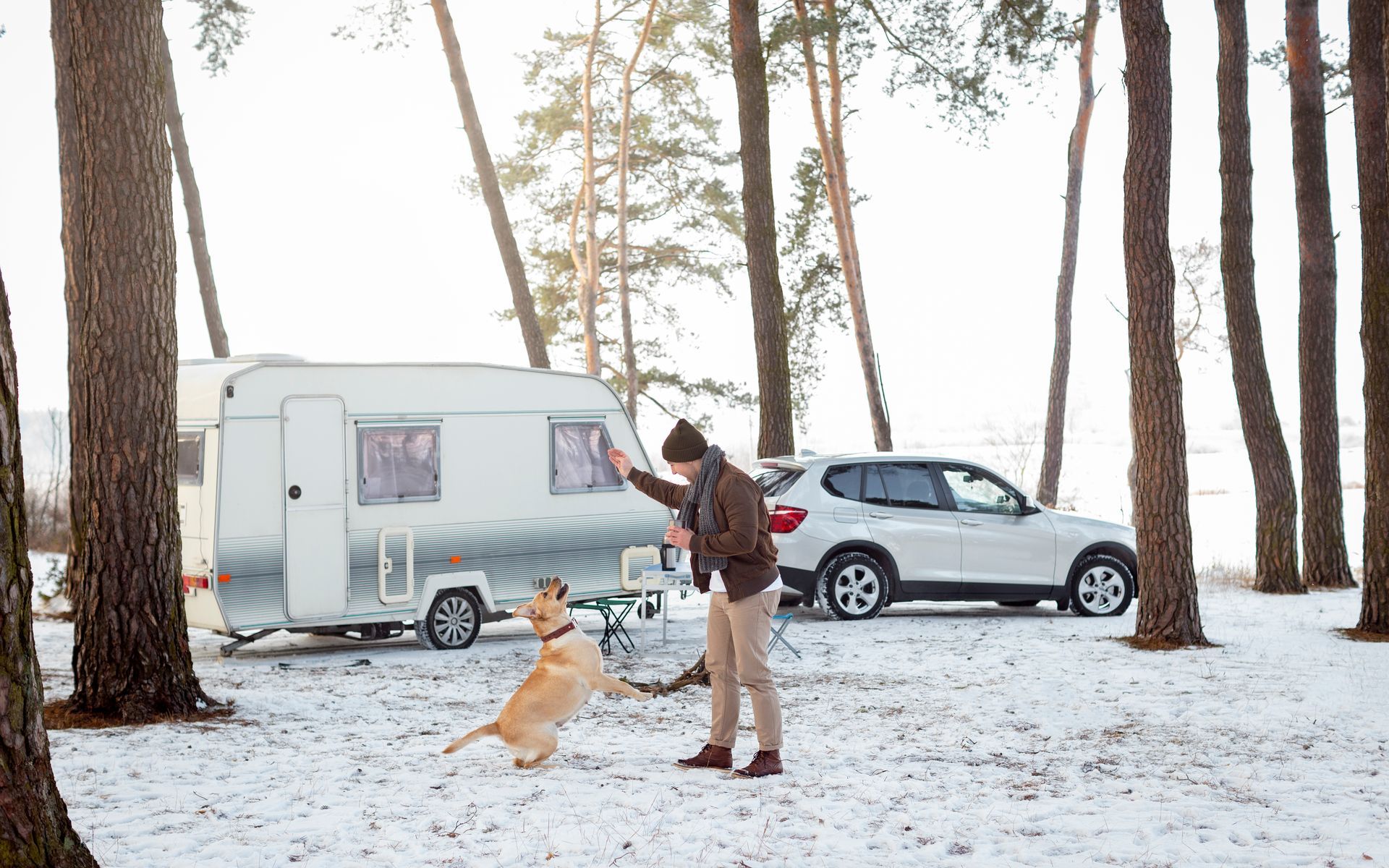 Man playing with dog