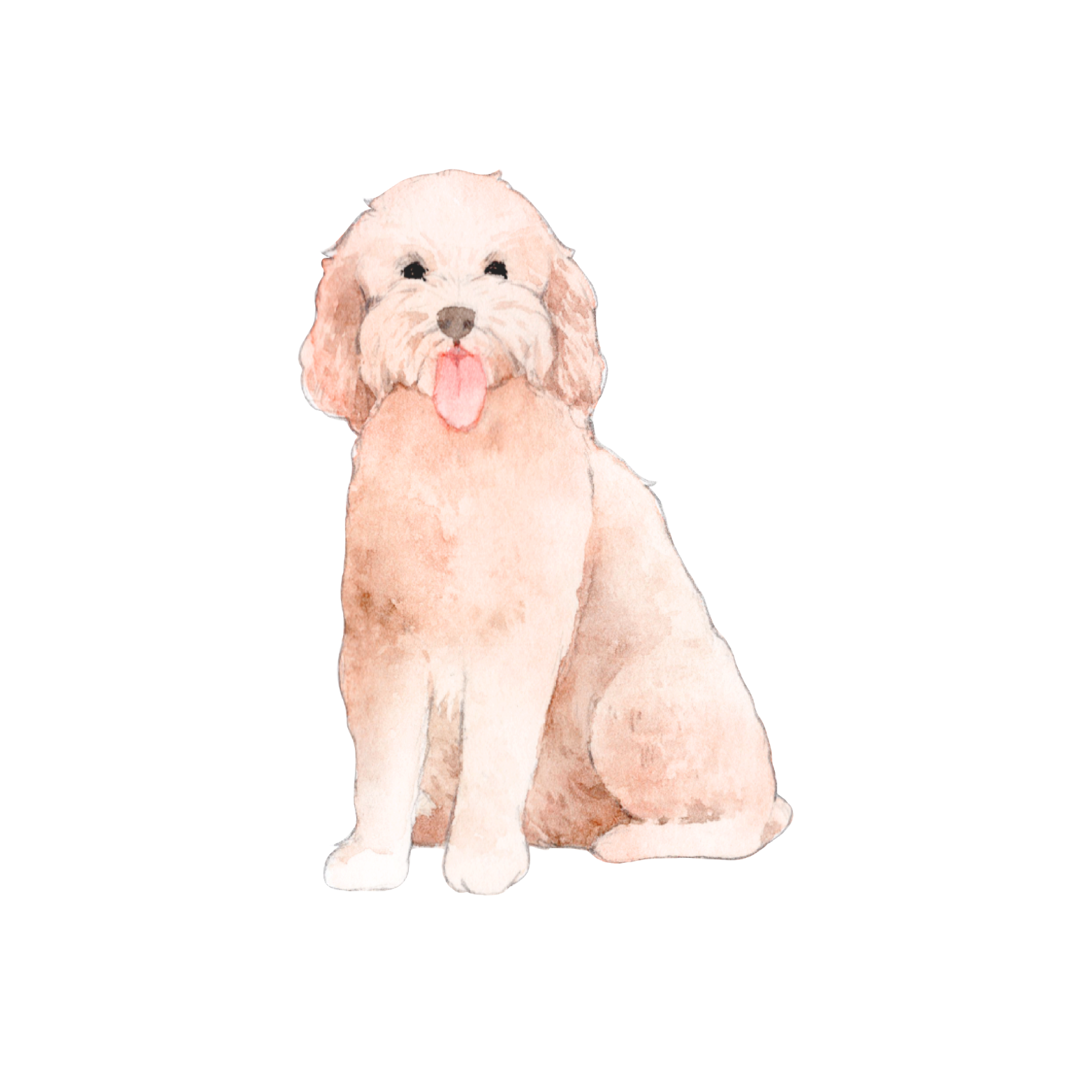 available-puppies