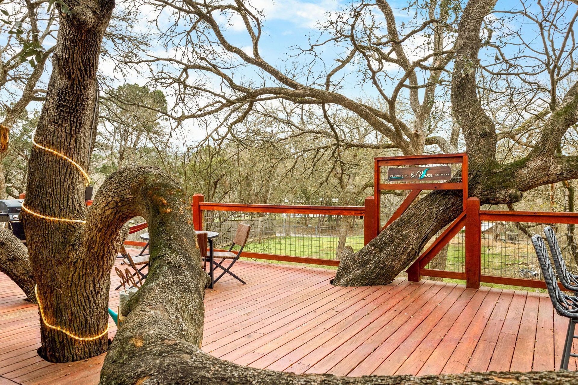 Wooden deck built around and among large trees with a slide, chairs, and string lights.