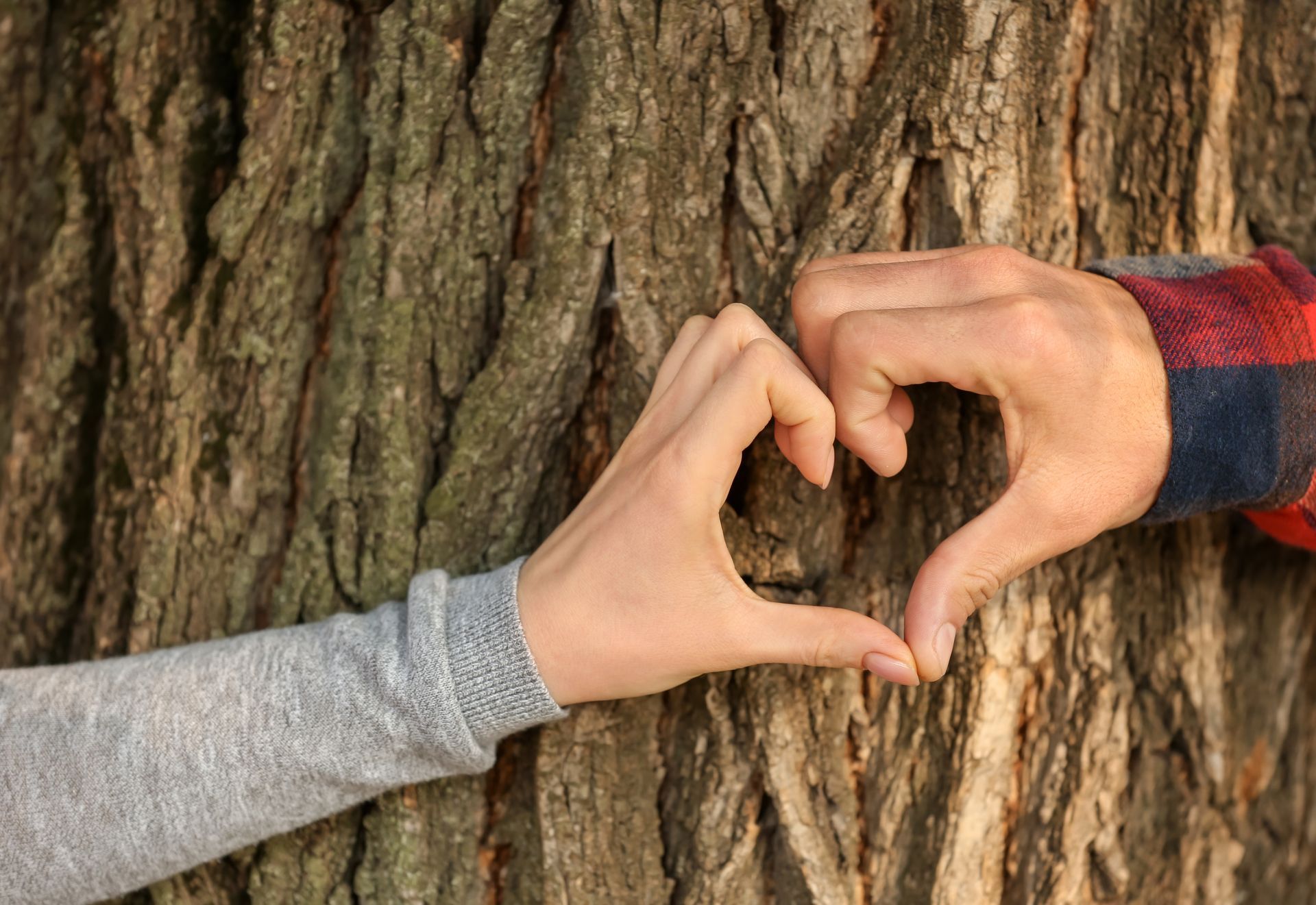 Hands forming a heart against a tree trunk. One arm in gray, the other in a red and black flannel.