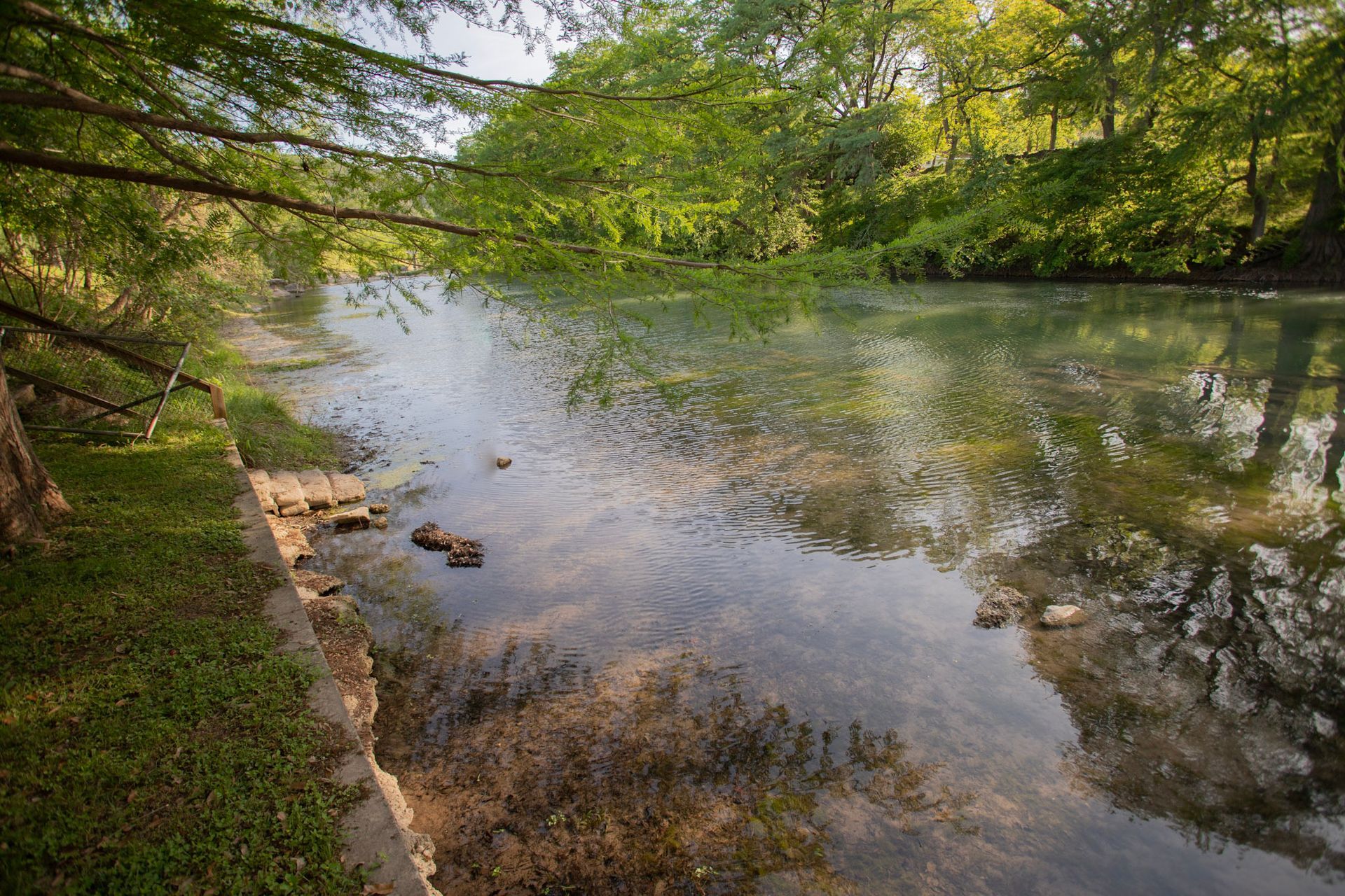 River scene with trees overhead; water reflects sunlight and foliage.
