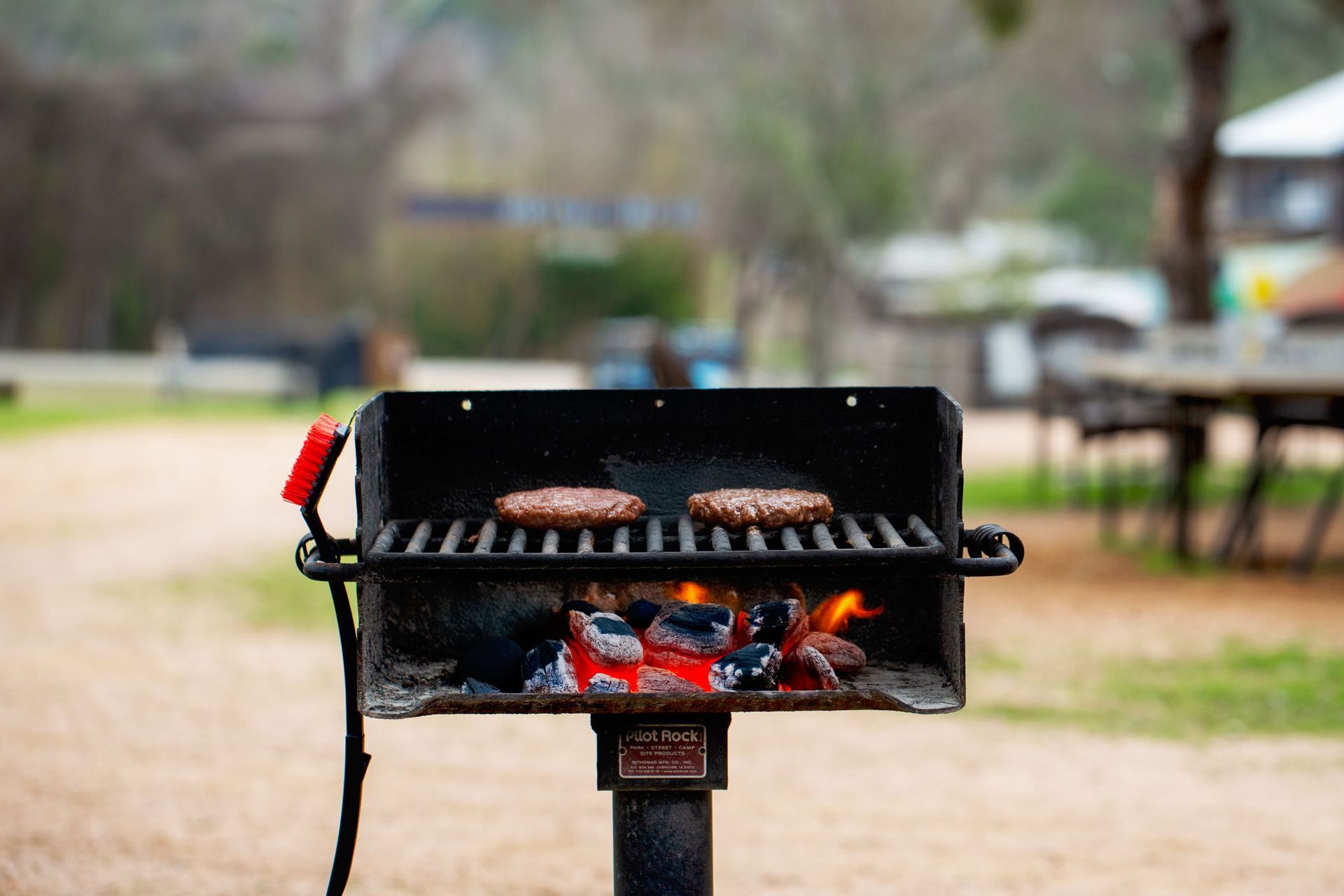 Hamburgers grilling over hot coals on a park barbecue.