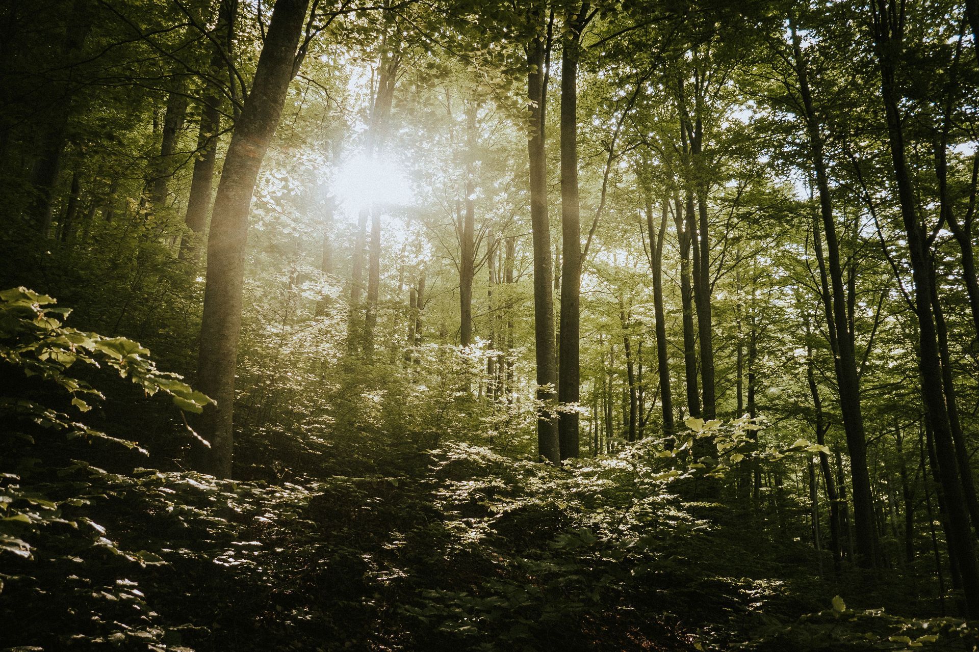 Frühling bei Nord Interaktive