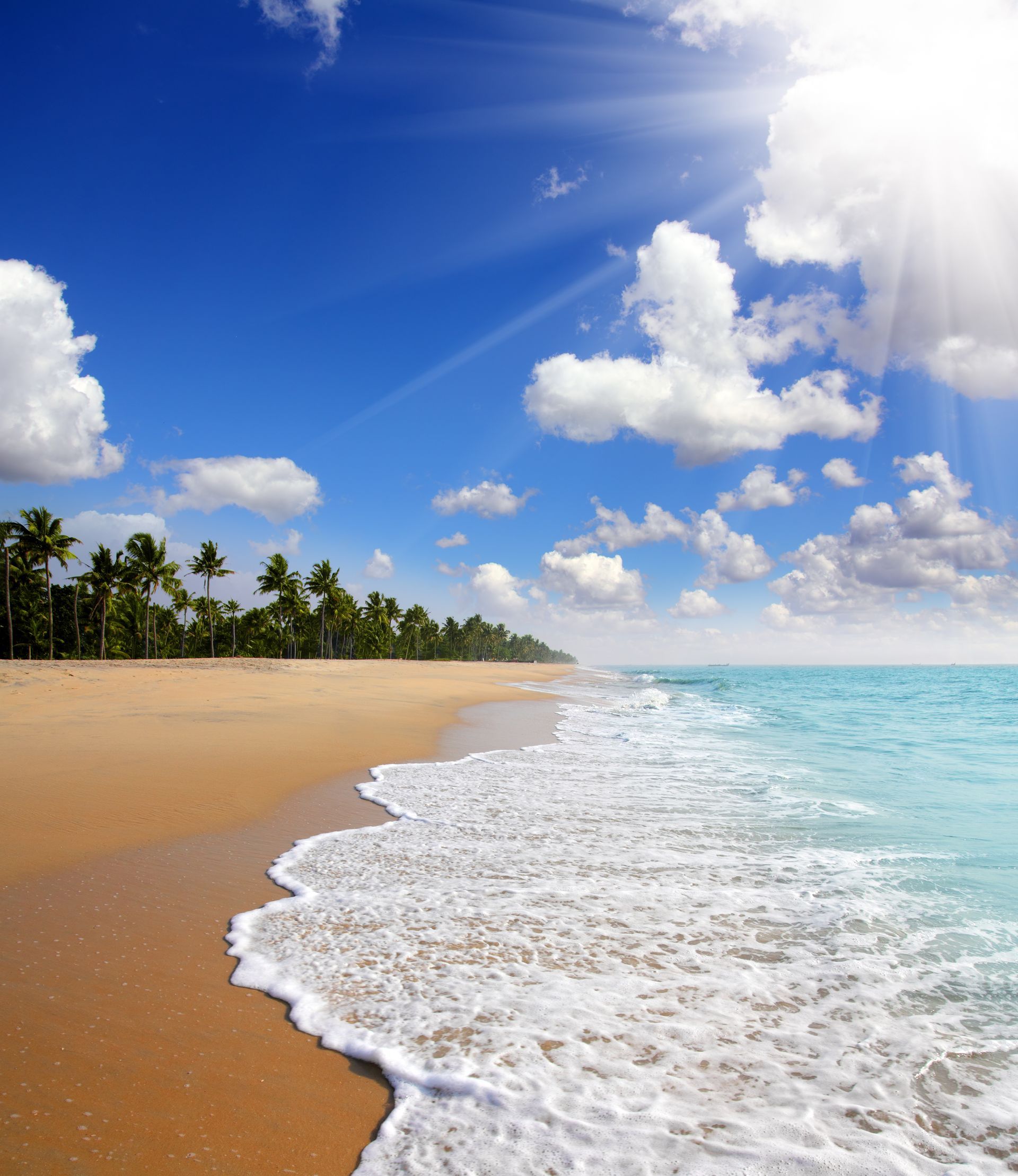 A beach with palm trees and the sun shining through the clouds