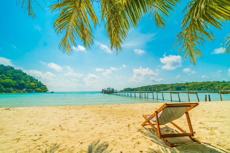 A beach chair is sitting on a sandy beach under a palm tree.