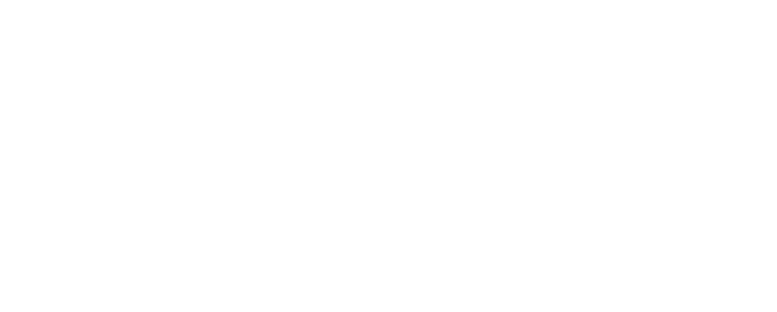 Rectángulo mayormente blanco y gris claro con una fina línea oscura cerca de la parte inferior.