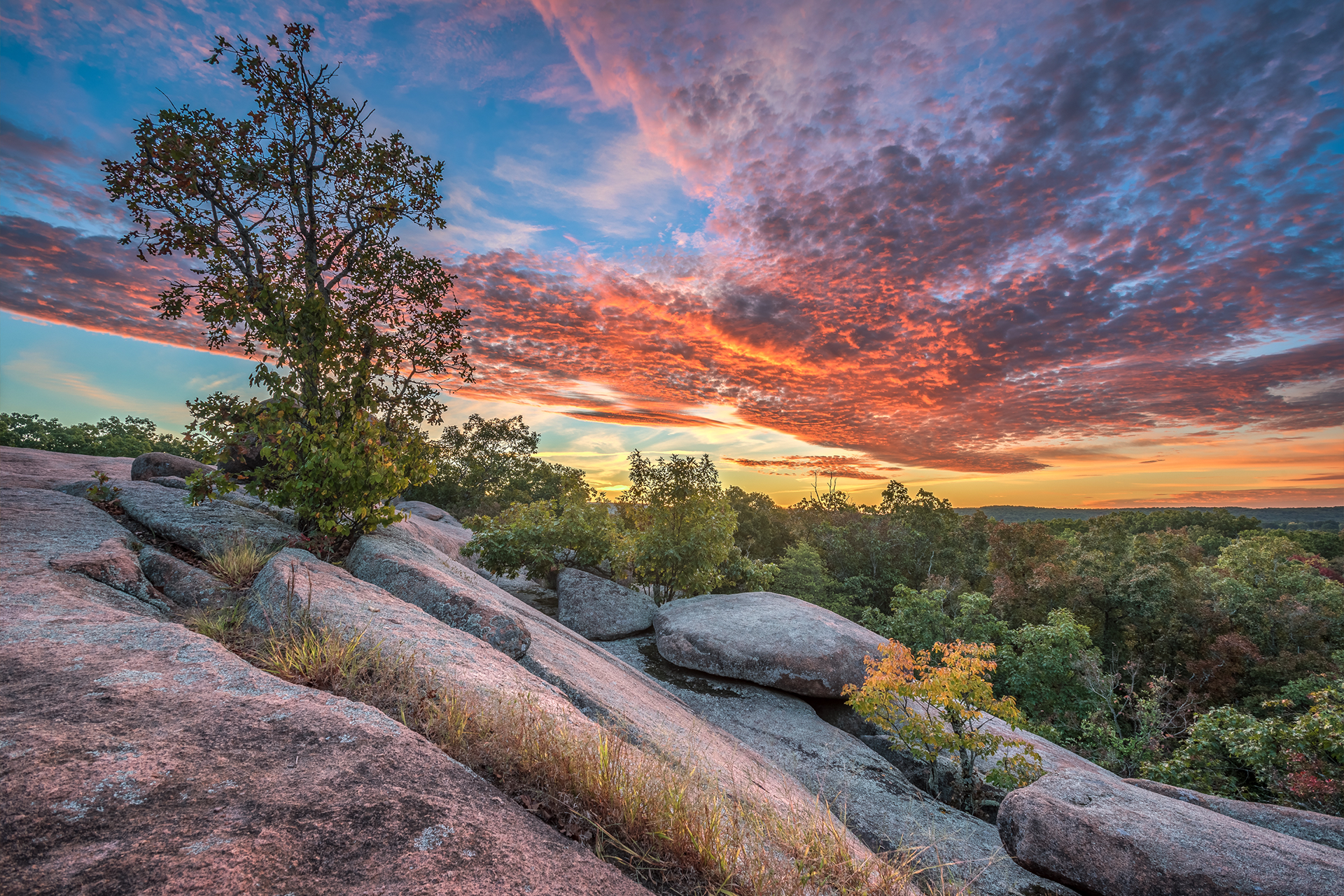 Rocky hillside at sunset with a lone tree and dramatic pink-orange clouds over a distant valley