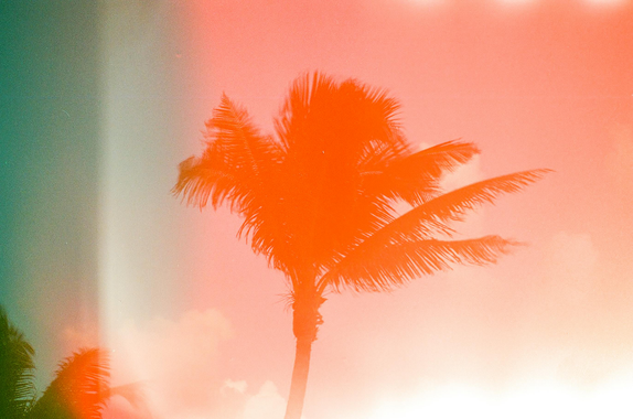 Orange silhouette of a palm tree against a pink and white sky