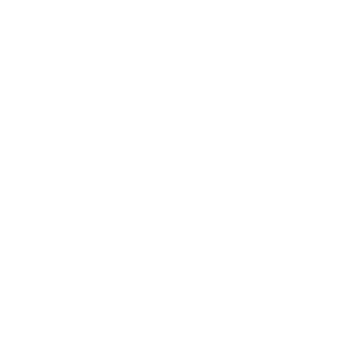 Core Management Team