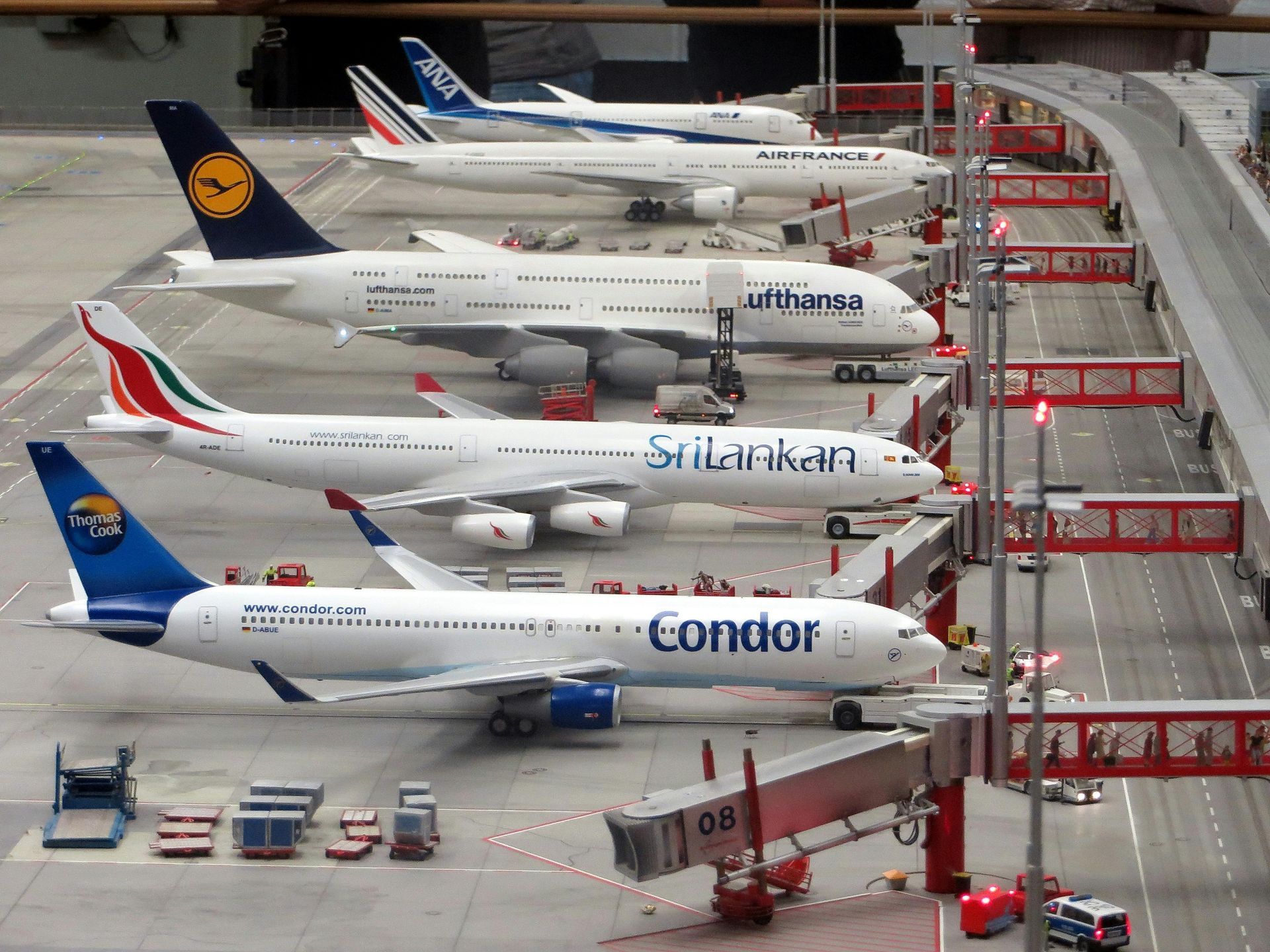 Several planes are parked in a row including one that says condor