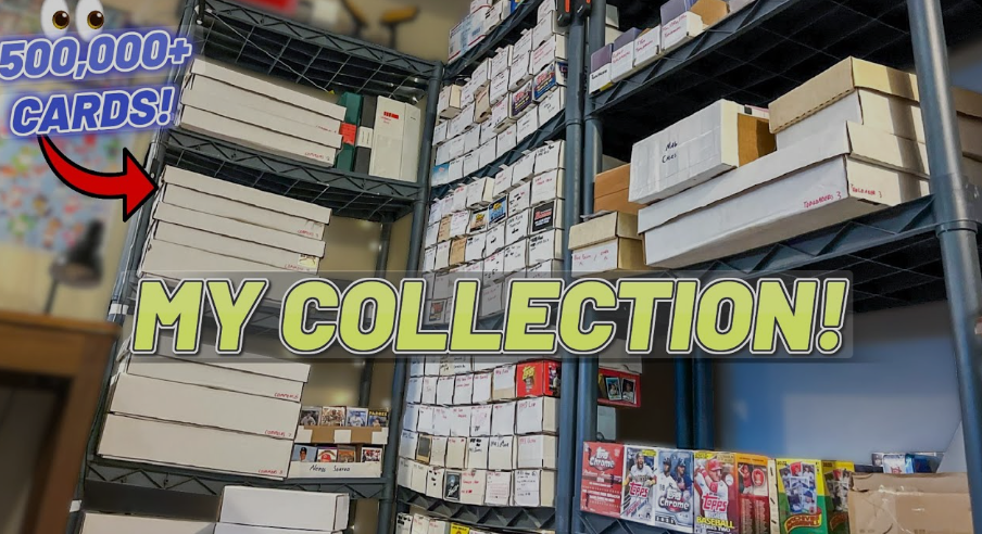 Shelves stacked with boxes of trading cards, labeled 