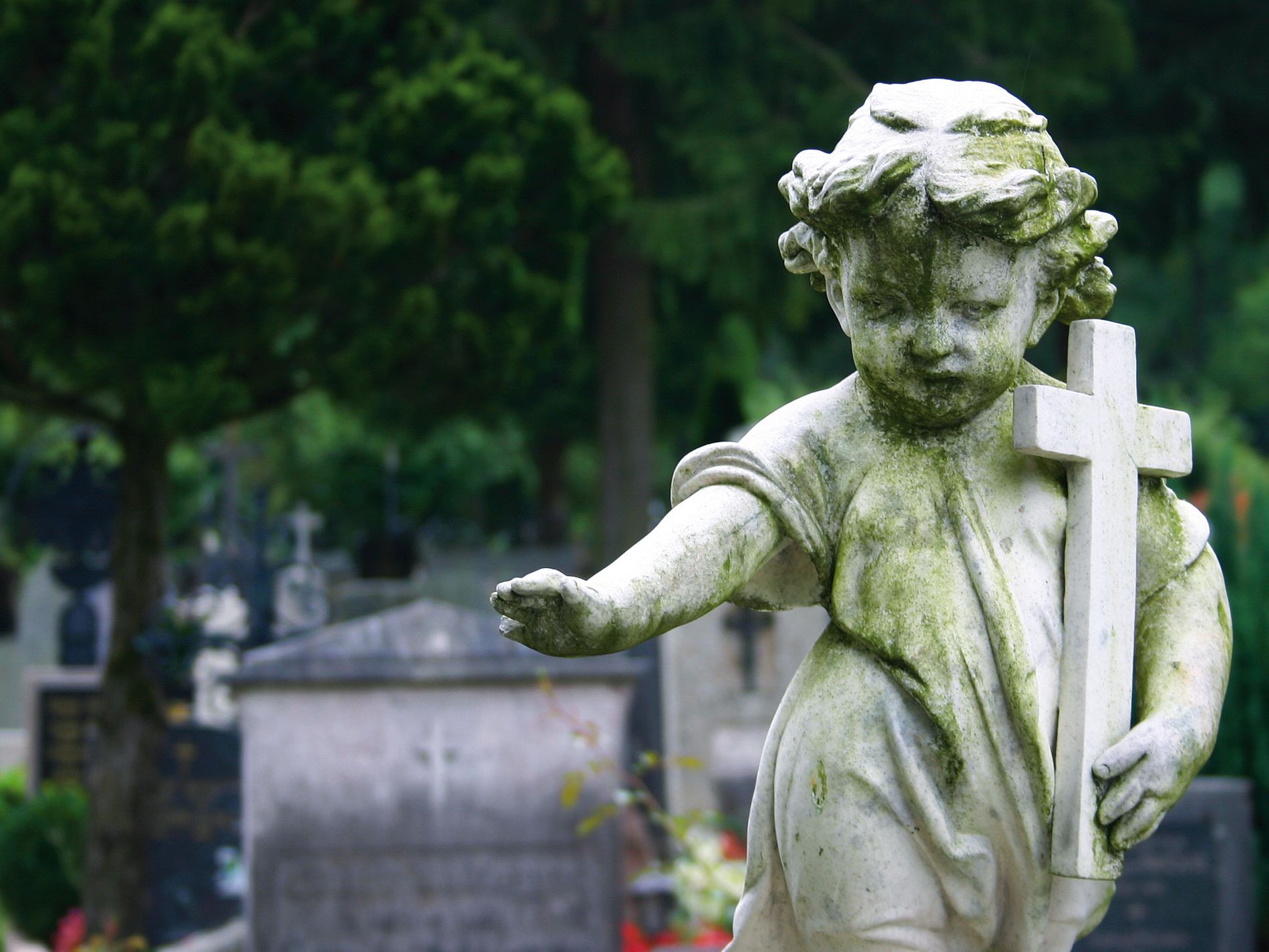Statua di un angelo presso un cimitero