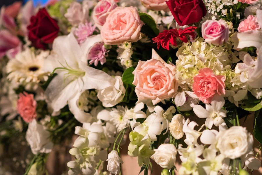 Fiori freschi di vario tipo