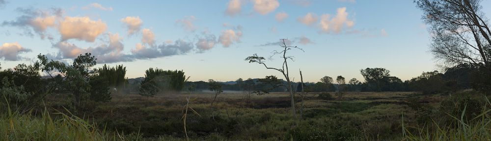 A Swamp With Trees And Grass In The Foreground And A Cloudy Sky — Caloundra Scrap Metal in Palmwoods, QLD