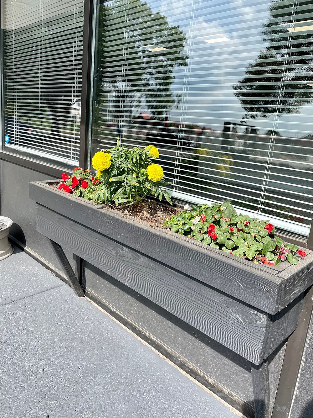 Flowers outside shop | Grahams Auto & Truck Clinic