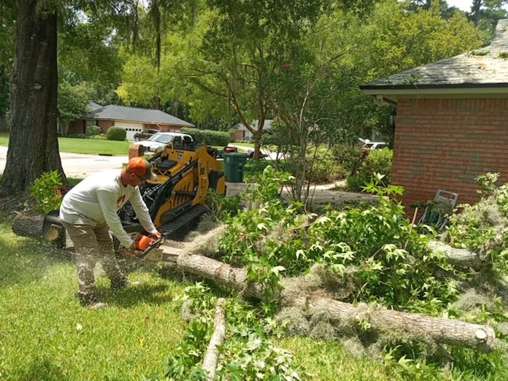 A man is cutting a tree with a chainsaw in a yard.