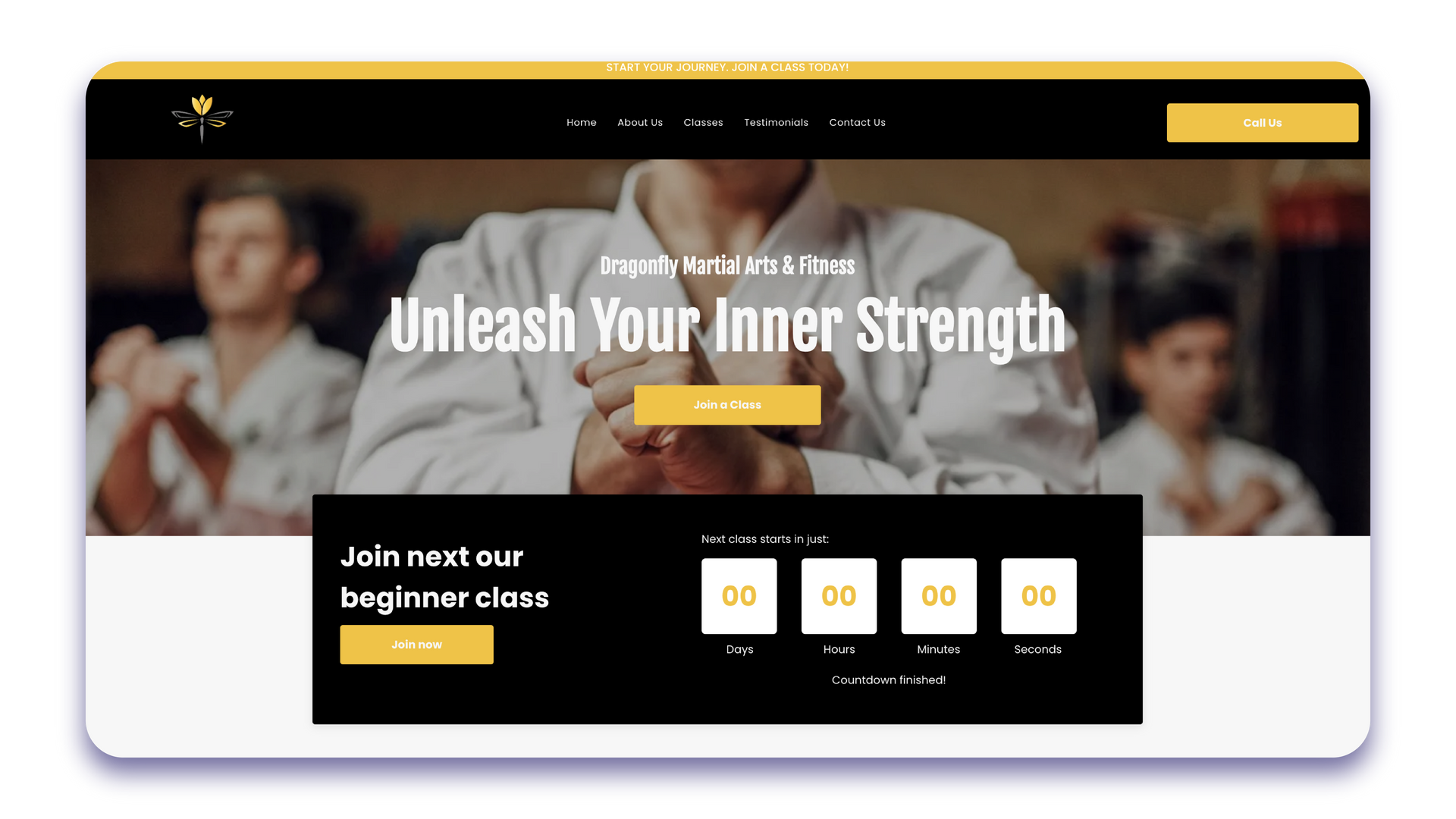 A screenshot of a website for a martial arts school.