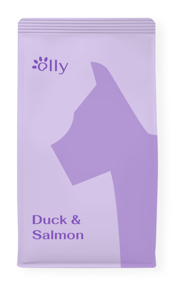 A bag of duck and salmon cat food with a silhouette of a cat on it.