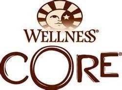 A wellness core logo with a sun and moon on it.