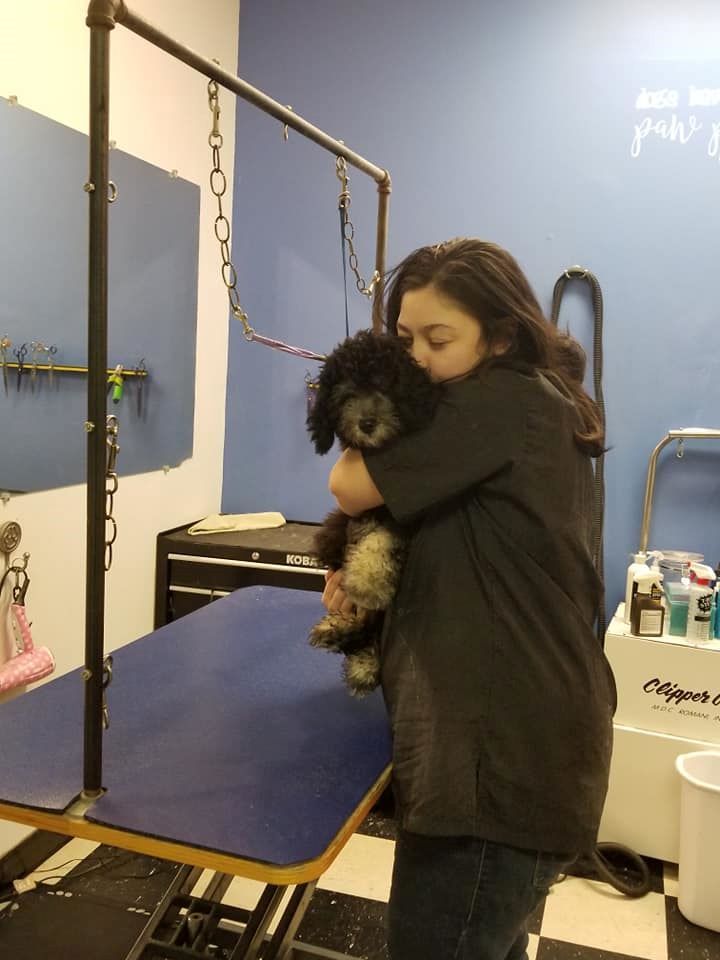 A woman is holding a small black dog in her arms.