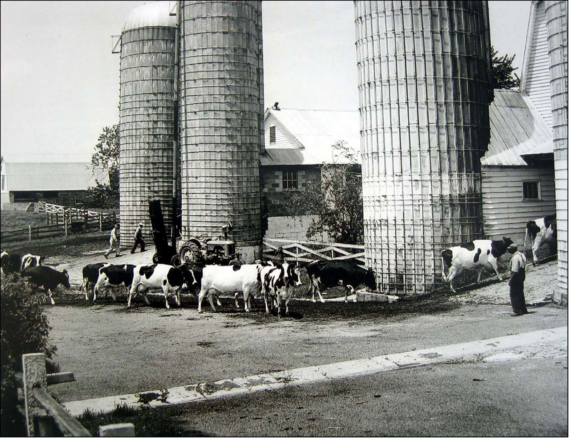Black and white photo of a row of small, white wooden farm buildings with gabled roofs along a gravel path.