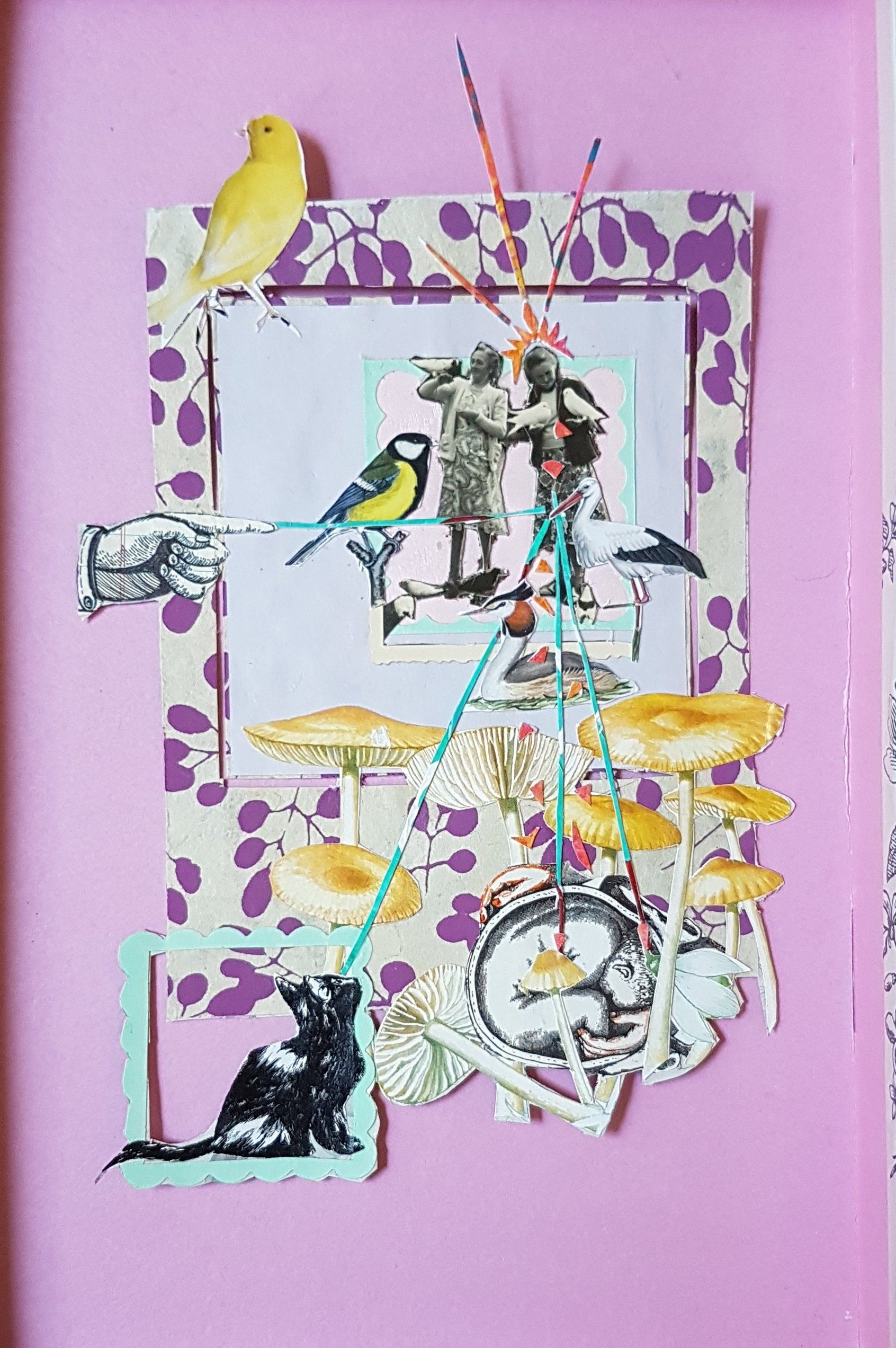 Collage met vogel, kat, paddenstoelen en figuren op een roze achtergrond.