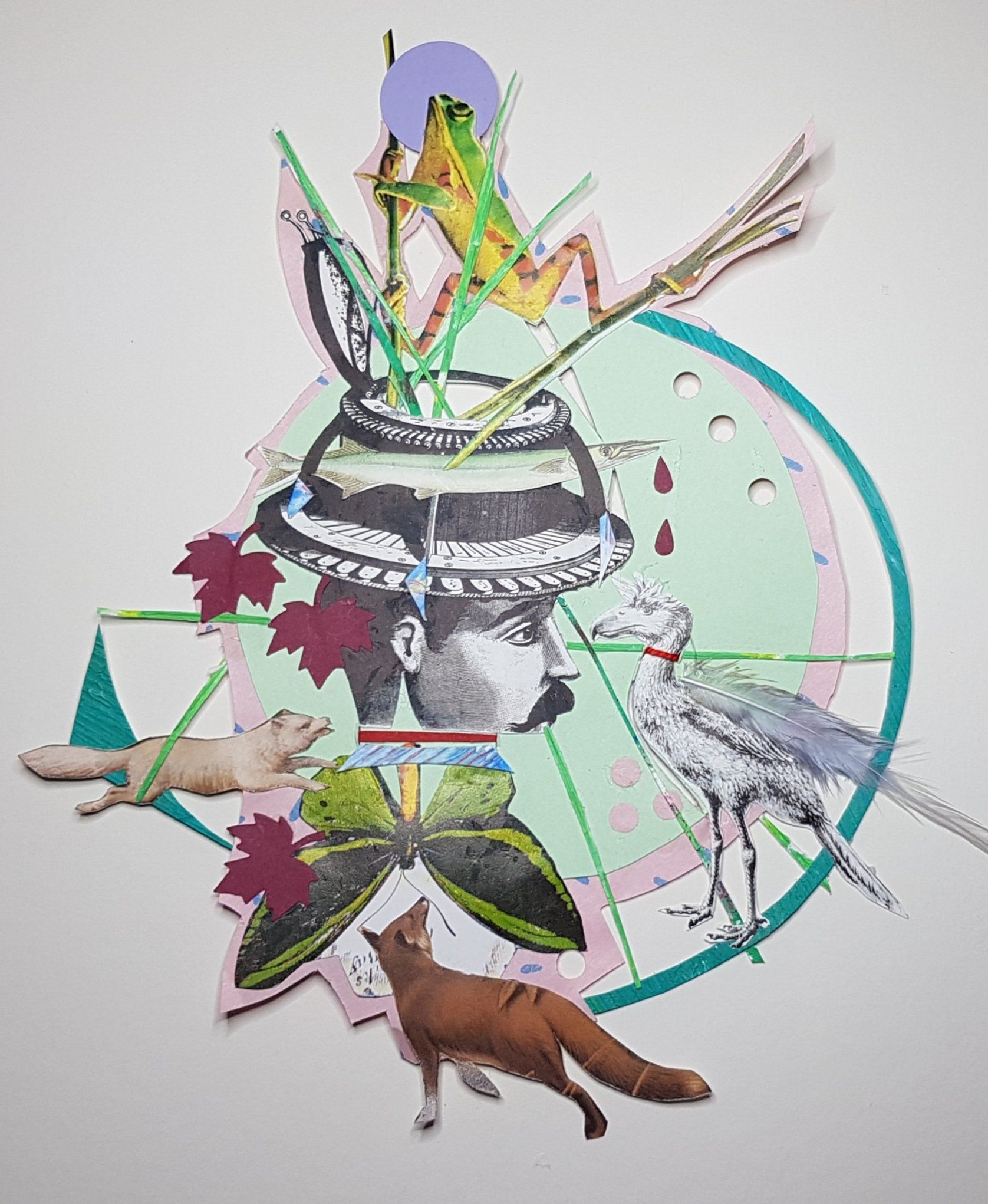 Collage van een kikker, hoed, dieren en geometrische vormen in een speelse, kleurrijke compositie.