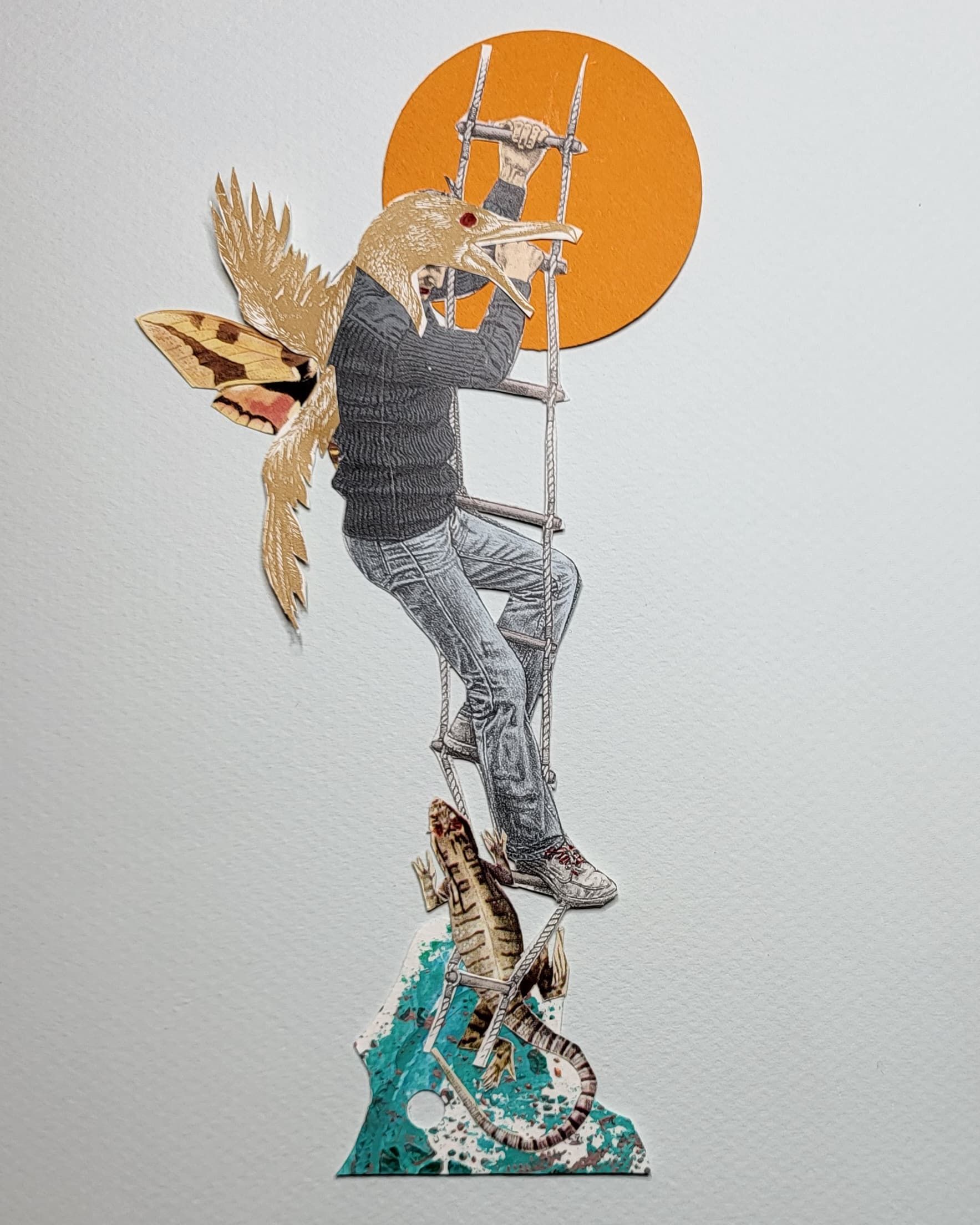 Ladder