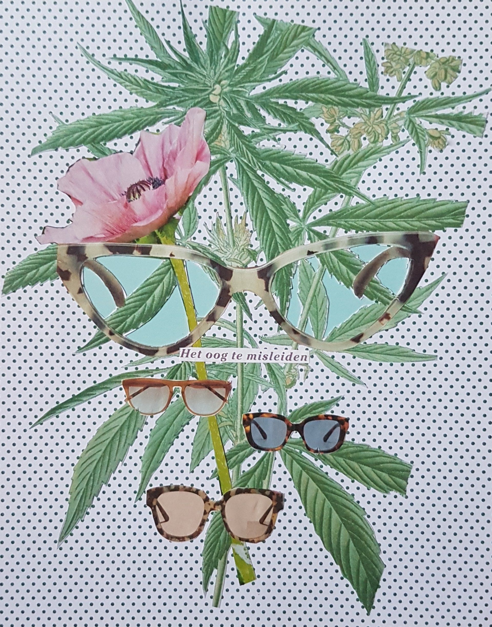 Collage van zonnebrillen met een marihuanaplant en een roze bloem op een gestippelde achtergrond.