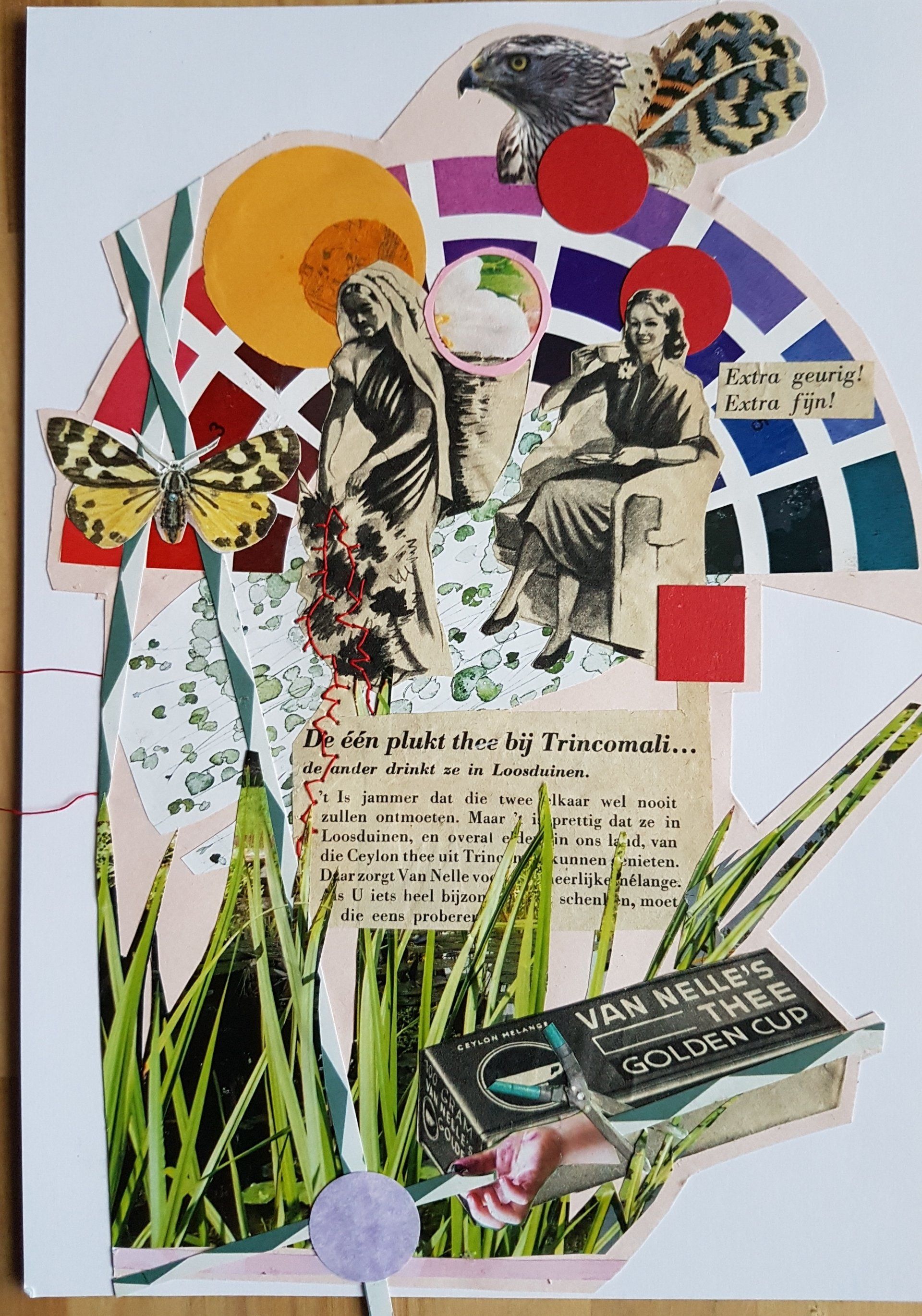 Collage: figuren, kleurencirkel, vlinder, gras, boek, cirkels, zon, tekst op wit papier.