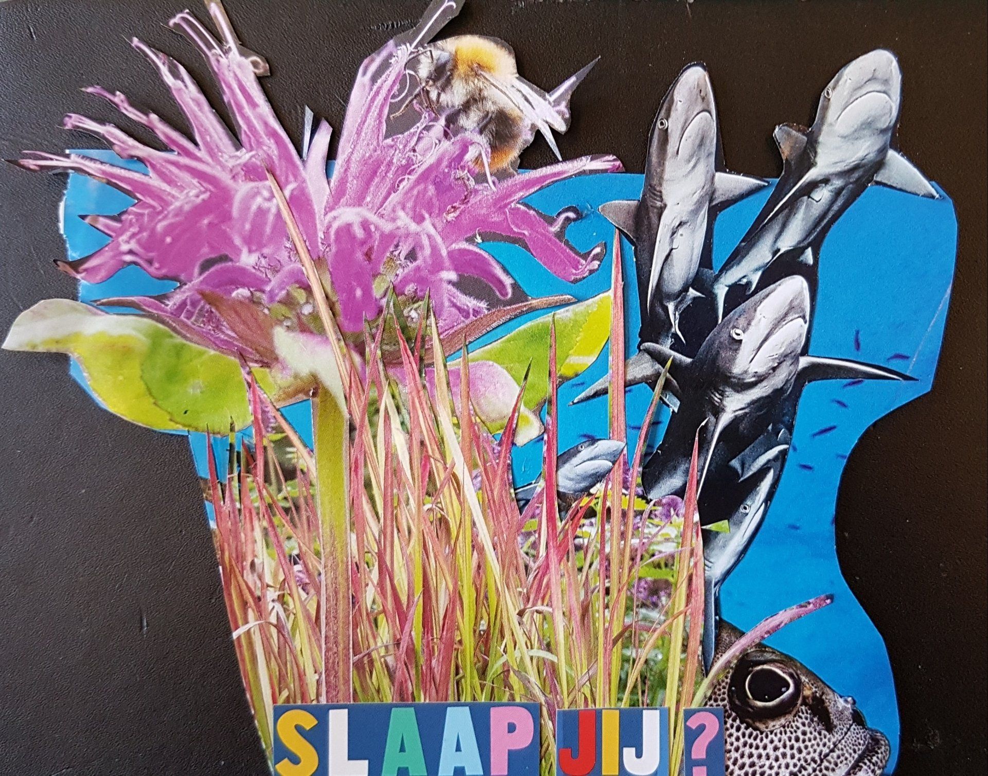 Collage met een bloem, bij, dolfijnen, vissen en de tekst
