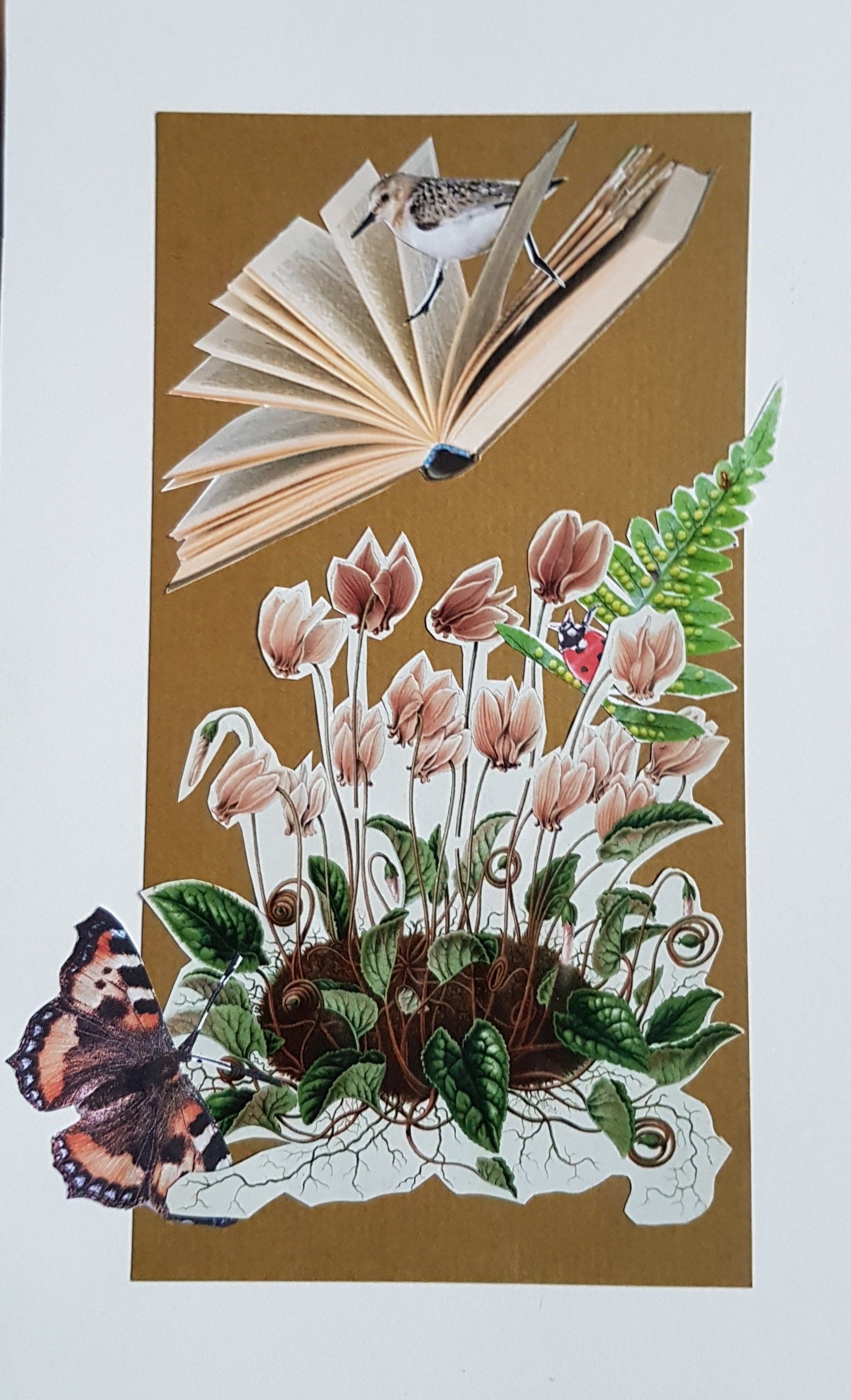 Collage: Open boek met vogel, bloemen, varen en vlinder op een bruine achtergrond.