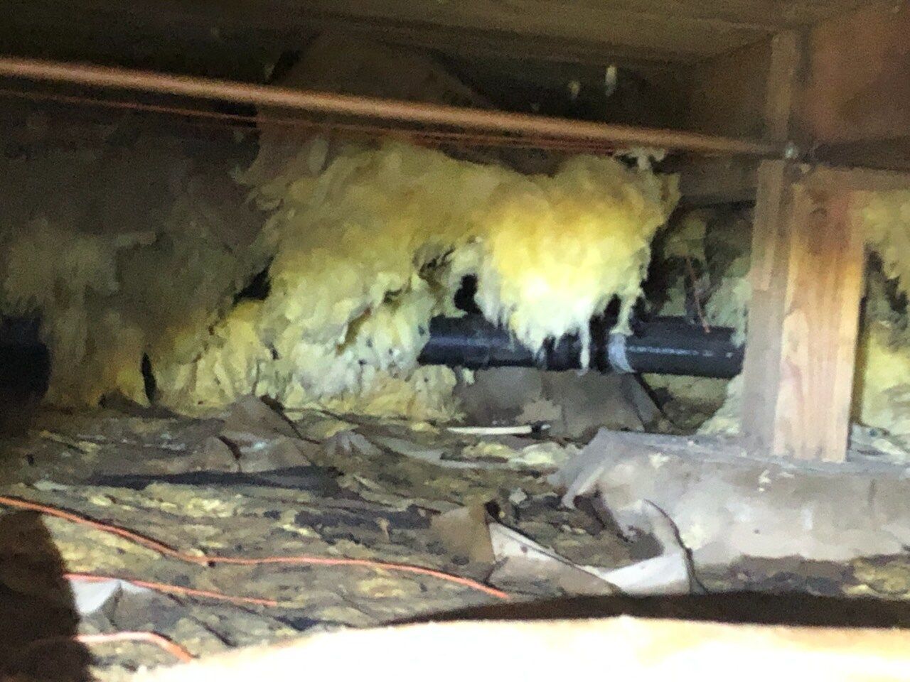 Underneath a structure: Insulation, black pipe, and wood. Yellowish insulation is clumped and damaged.
