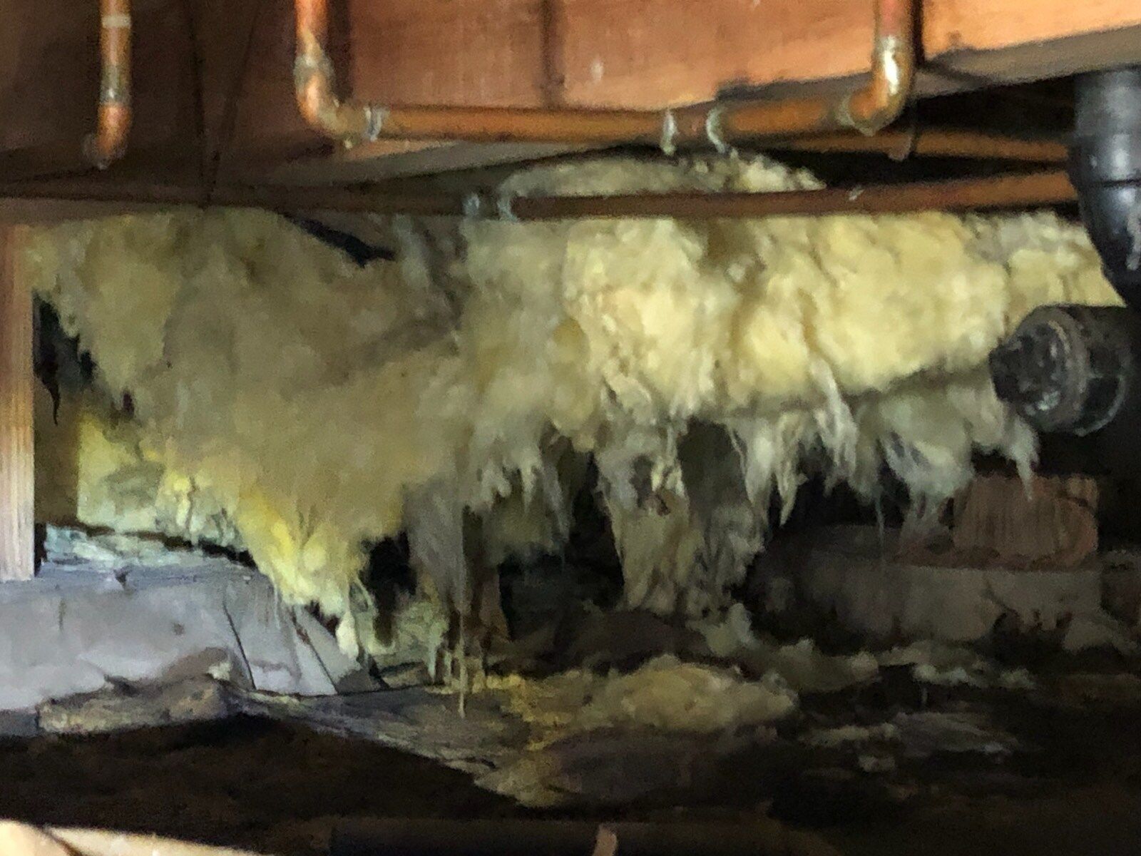 Damaged insulation hangs from a crawl space ceiling; water damage is evident.