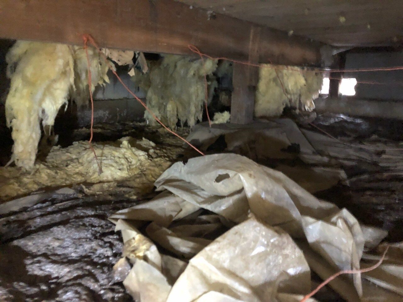 Crawlspace with exposed insulation hanging from beams, plastic debris on the ground, and electrical wiring visible.