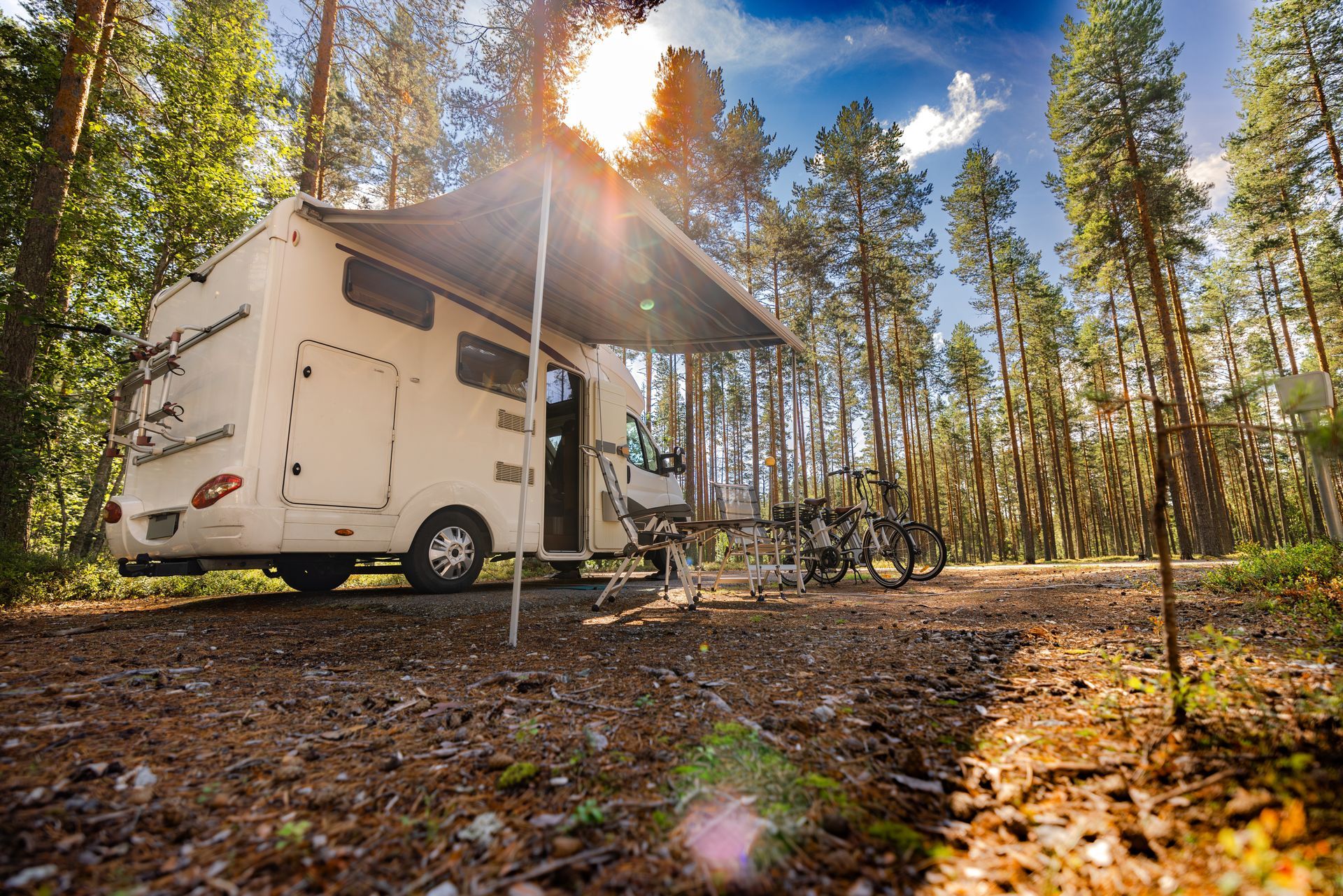 Camper van parked in a sunny pine forest campsite, with bicycles beside it.