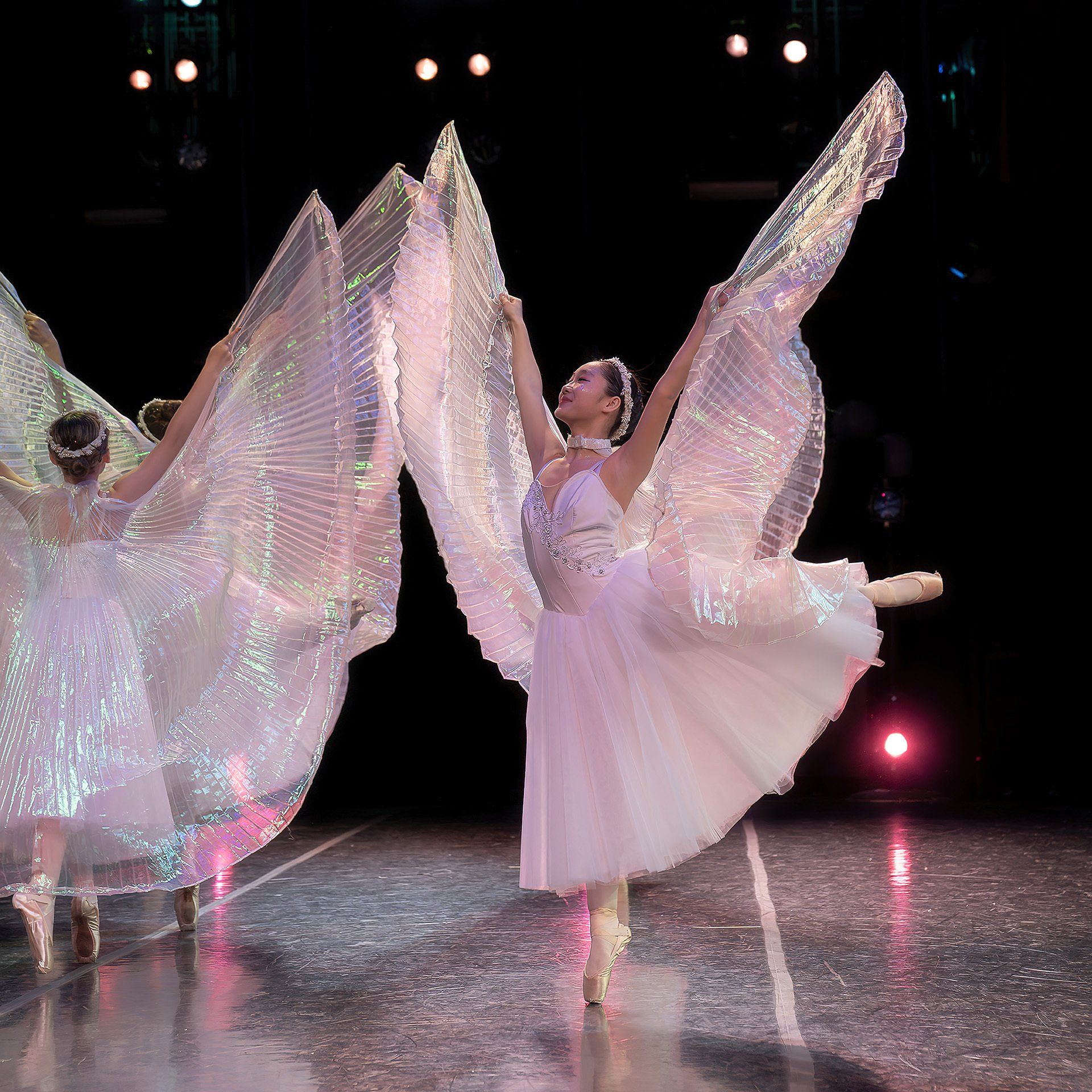 Fairy in the Nutcracker performed by AC Ballet