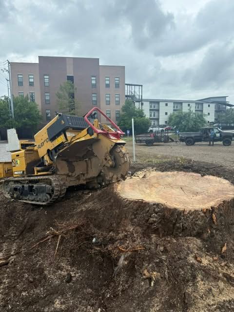 Yellow skid steer on muddy construction site beside a large tree stump, with buildings in the background
