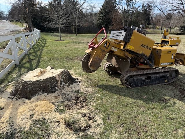 Yellow stump grinder beside a freshly cut tree stump in a grassy yard near a white fence