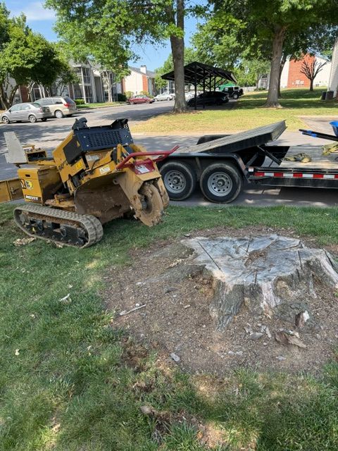 Yellow mini skid steer on a trailer in a grassy yard near a tree stump and dirt pile.