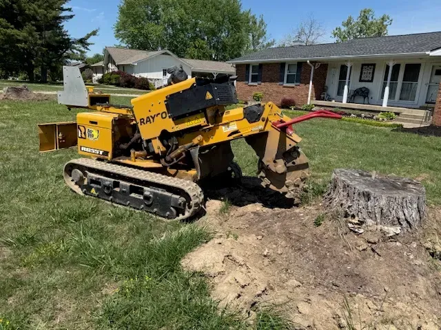 Yellow compact loader removing a tree stump in a suburban yard beside a house