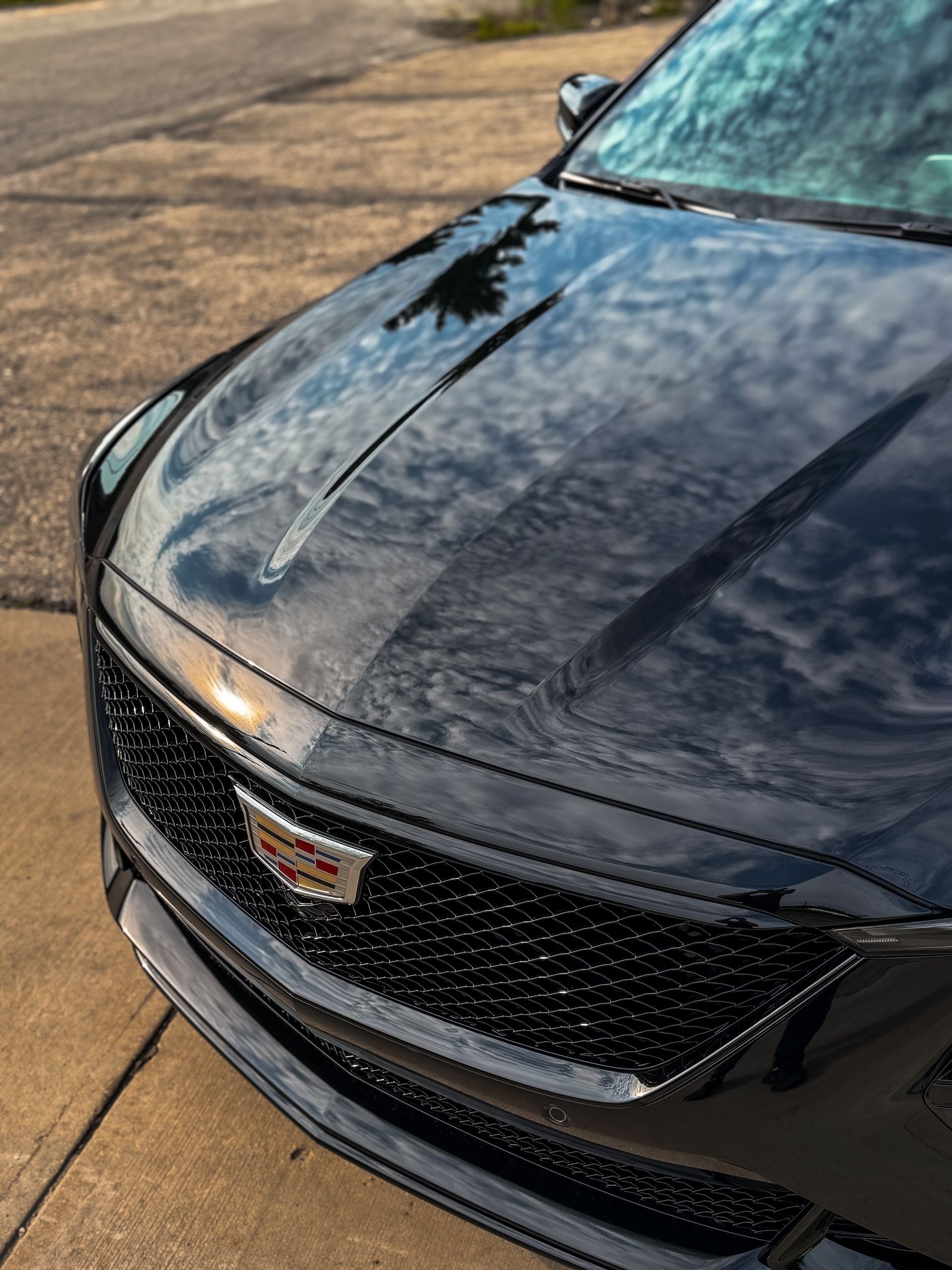 Black Cadillac with shiny hood reflecting the sky, close-up view of front grille and emblem.