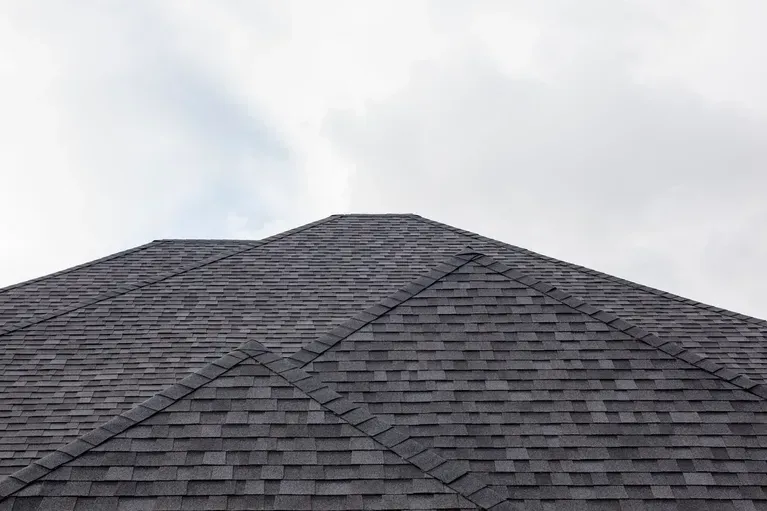 Gray shingled roof against a cloudy sky.