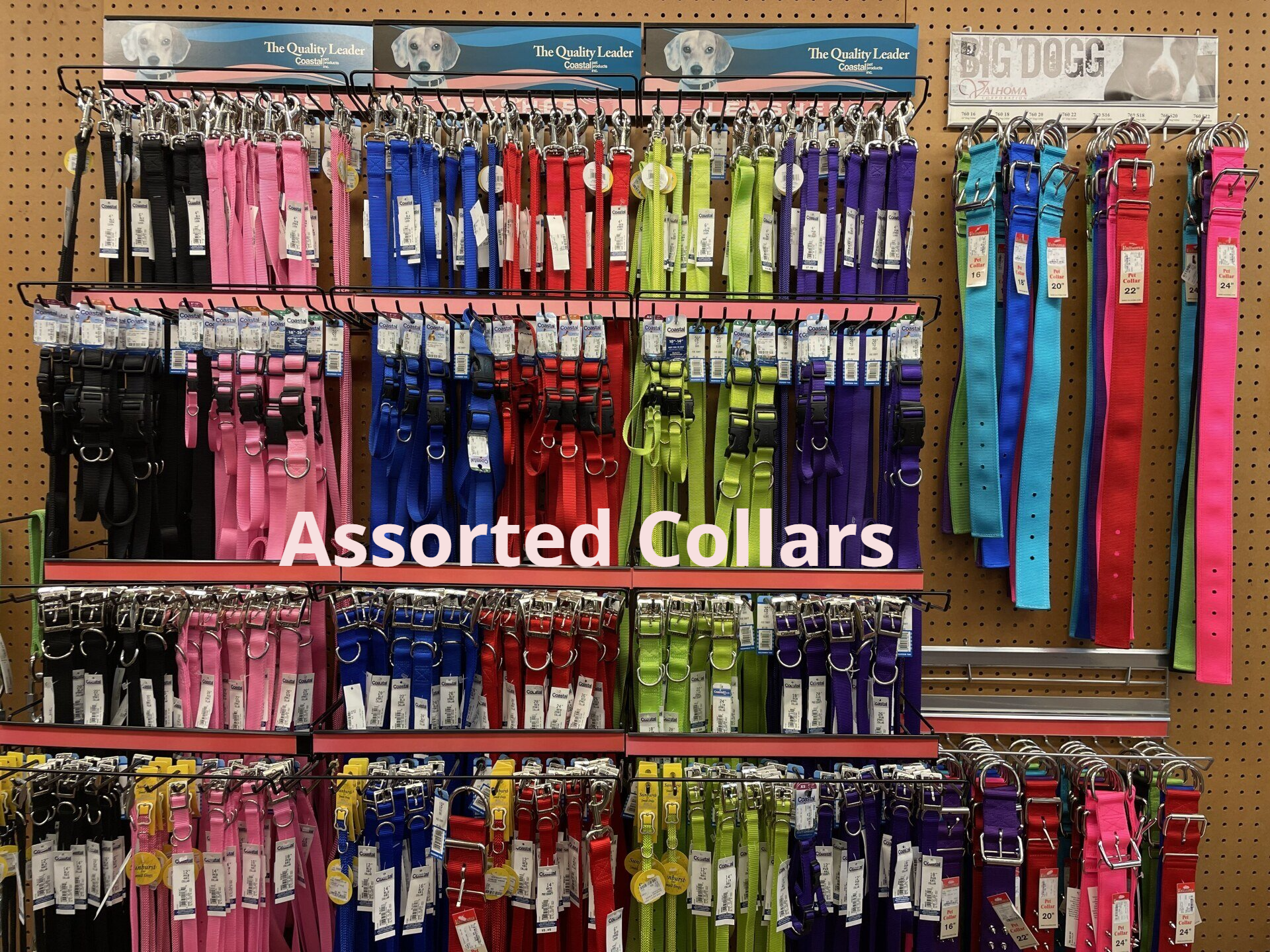 A display of assorted collars in a store