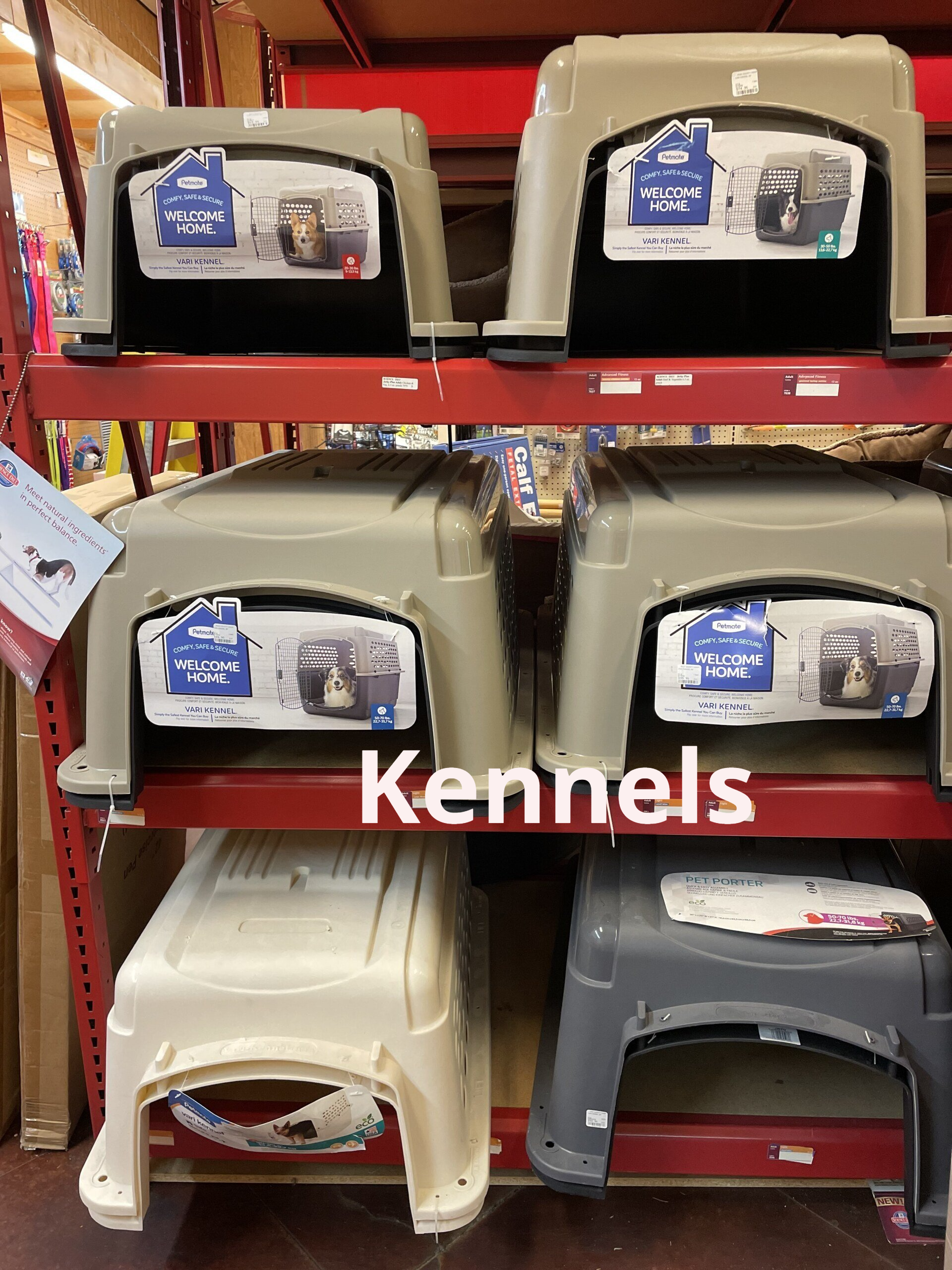 A bunch of kennels are sitting on a shelf in a store.