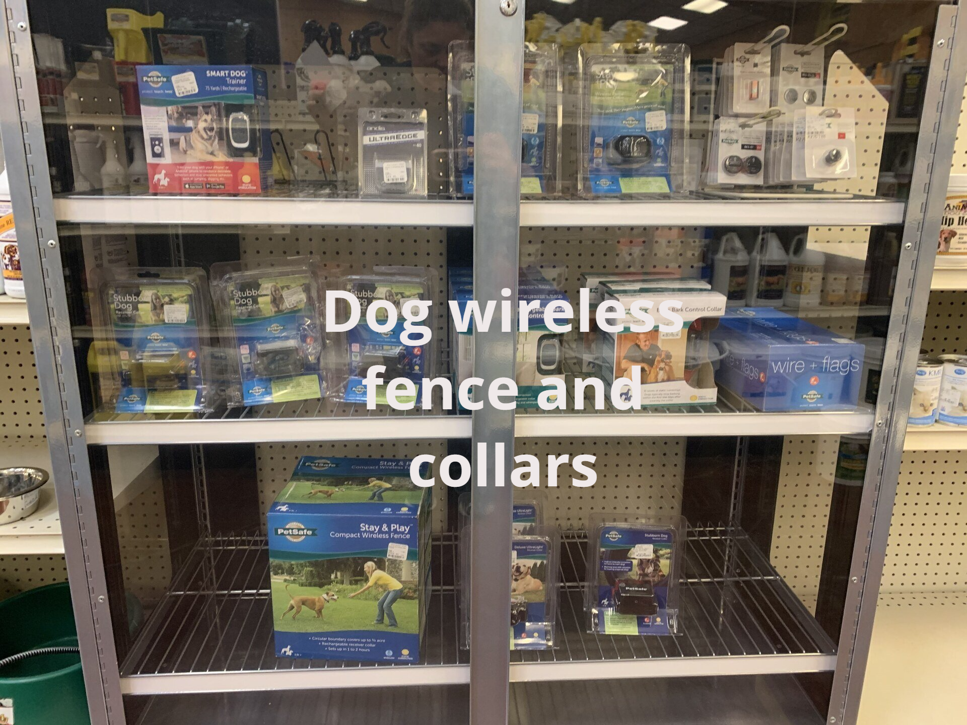 A display of dog wireless fence and collars in a store