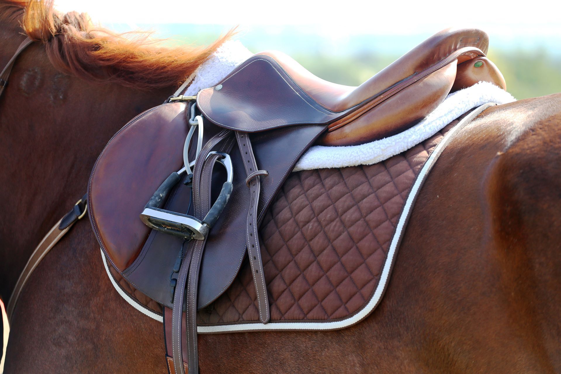 A brown horse with a brown saddle on it