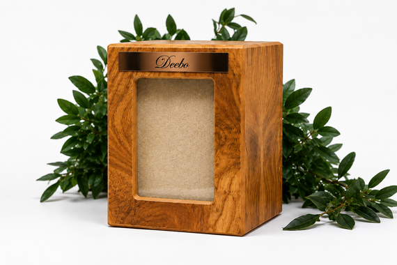 Wooden display box with green foliage behind it on a white background