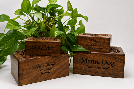 Wooden planter boxes with engraved names, holding green plants on a white background.