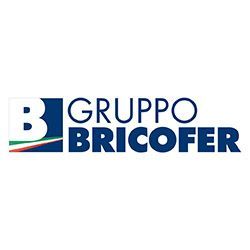 Logo del Gruppo Bricofer con testo blu e una B stilizzata in rosso, verde, bianco e blu